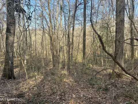 Aberdeen Road, Natchez, MS 39120 photo 26