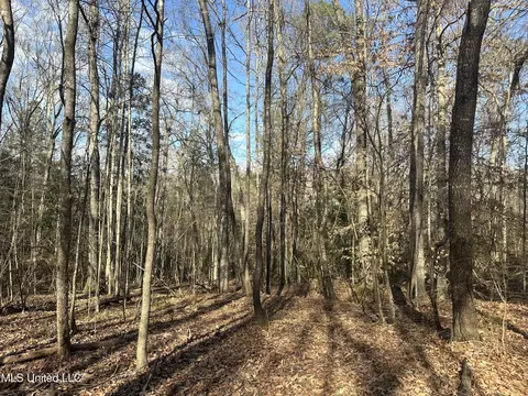 Aberdeen Road, Natchez, MS 39120 photo 22