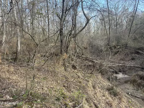 Aberdeen Road, Natchez, MS 39120 photo 37
