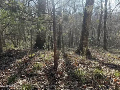 Aberdeen Road, Natchez, MS 39120 photo 5