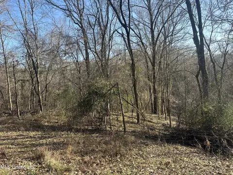 Aberdeen Road, Natchez, MS 39120 photo 46