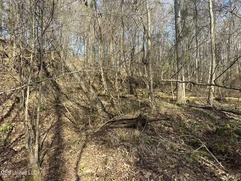 Aberdeen Road, Natchez, MS 39120 photo 36