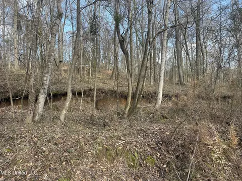 Aberdeen Road, Natchez, MS 39120 photo 39