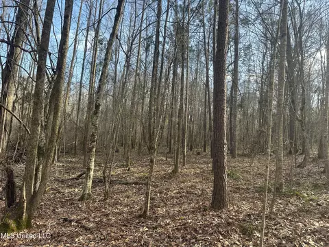 Aberdeen Road, Natchez, MS 39120 photo 28