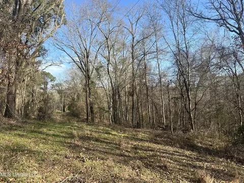 Aberdeen Road, Natchez, MS 39120 photo 45