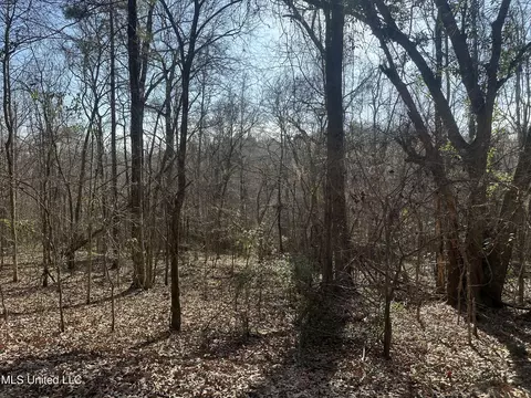 Aberdeen Road, Natchez, MS 39120 photo 7
