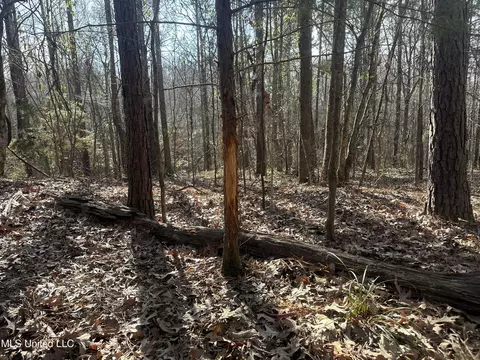 Aberdeen Road, Natchez, MS 39120 photo 9