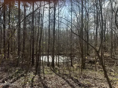 Aberdeen Road, Natchez, MS 39120 photo 11