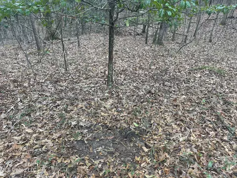 Aberdeen Road, Natchez, MS 39120 photo 3