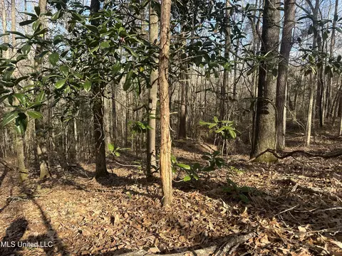 Aberdeen Road, Natchez, MS 39120 photo 23