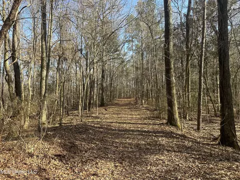 Aberdeen Road, Natchez, MS 39120 photo 20