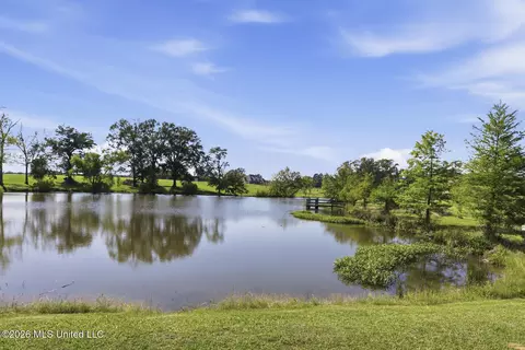 View/Area - 170 Browning Rd, Flora, MS 39071 photo 1 of 7