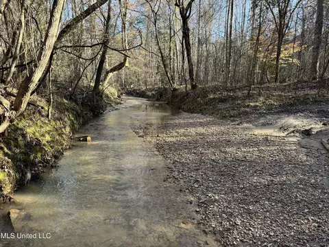 Hickory Ridge Road, Hermanville, MS 39086