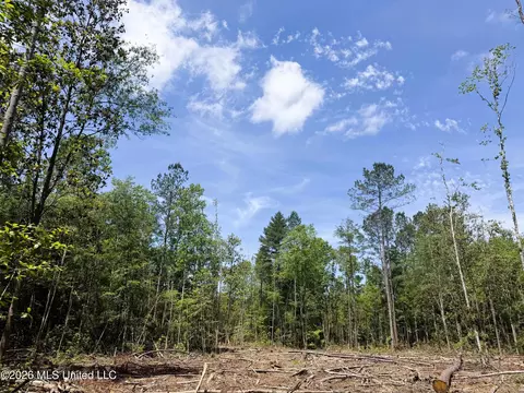 301 C1, Brooklyn, MS 39425 photo 2