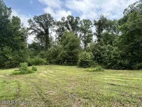 Exterior - 2096 Swilley Rd, Wesson, MS 39191 photo 22 of 22