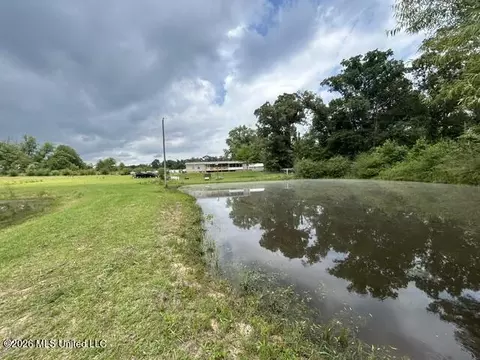 View/Area - 2096 Swilley Rd, Wesson, MS 39191 photo 7 of 11