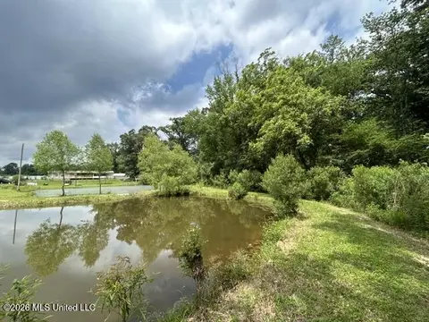 View/Area - 2096 Swilley Rd, Wesson, MS 39191 photo 10 of 11