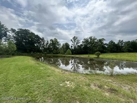 View/Area - 2096 Swilley Rd, Wesson, MS 39191 photo 5 of 11
