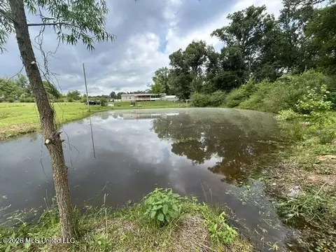 View/Area - 2096 Swilley Rd, Wesson, MS 39191 photo 9 of 11