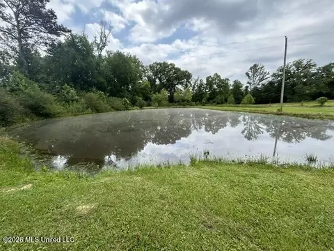 View/Area - 2096 Swilley Rd, Wesson, MS 39191 photo 2 of 11
