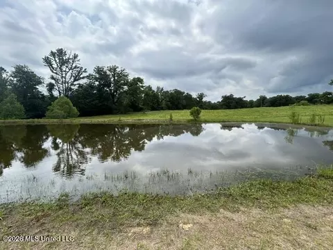 View/Area - 2096 Swilley Rd, Wesson, MS 39191 photo 6 of 11