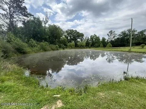 View/Area - 2096 Swilley Rd, Wesson, MS 39191 photo 4 of 11