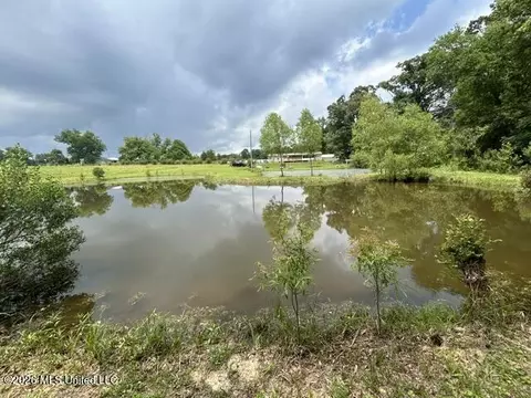 View/Area - 2096 Swilley Rd, Wesson, MS 39191 photo 11 of 11