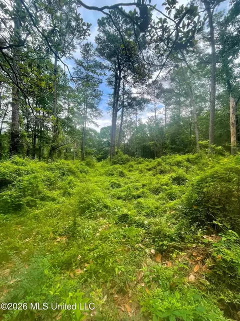 2 Magnolia Progress Rd, Magnolia, MS 39652