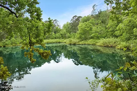 2 Magnolia Progress Rd, Magnolia, MS 39652 photo 3