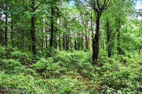 2 Magnolia Progress Rd, Magnolia, MS 39652 photo 4
