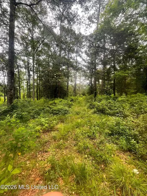 2 Magnolia Progress Rd, Magnolia, MS 39652 photo 6