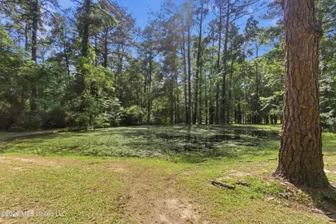 Other - 1152 E Robb St #E, Summit, MS 39666 photo 9 of 14