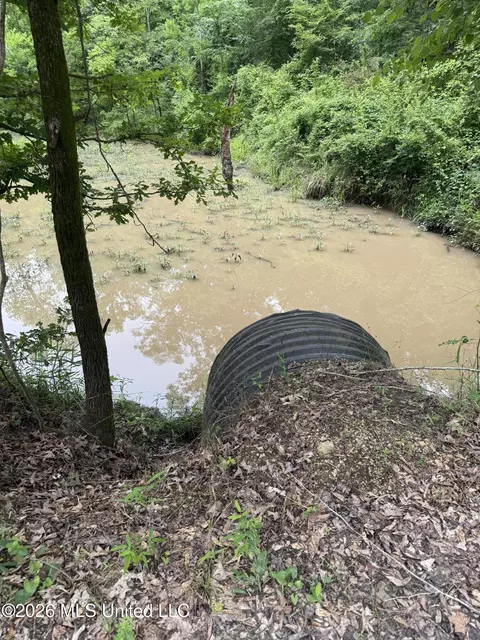 River Ridge Road, Terry, MS 39170 photo 5