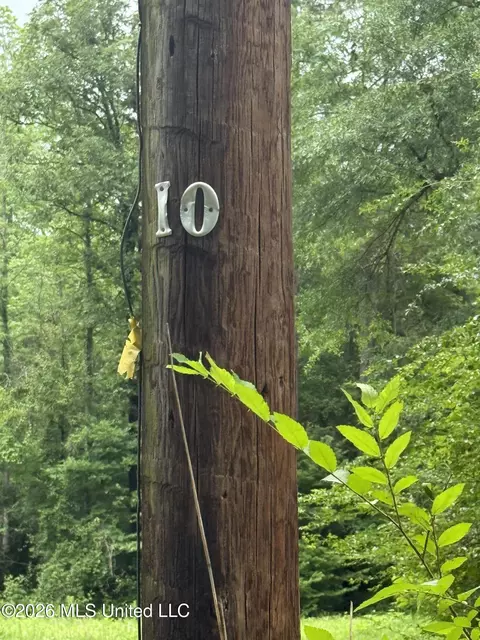 River Ridge Road, Terry, MS 39170 photo 2