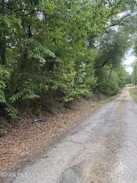 River Ridge Road, Terry, MS 39170 photo 3