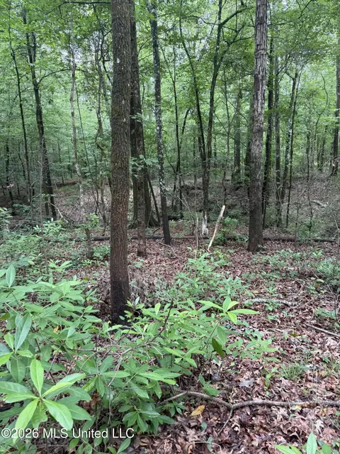 River Ridge Road, Terry, MS 39170 photo 7