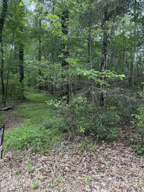 River Ridge Road, Terry, MS 39170 photo 6