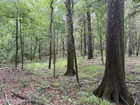 River Ridge Road, Terry, MS 39170 photo 4