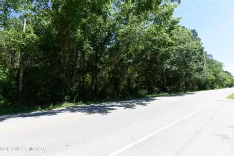 E Saracennia Road, Moss Point, MS 39562 photo 3