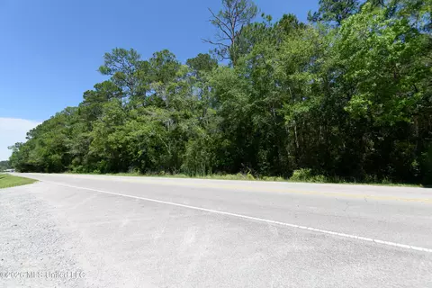 E Saracennia Road, Moss Point, MS 39562 photo 5
