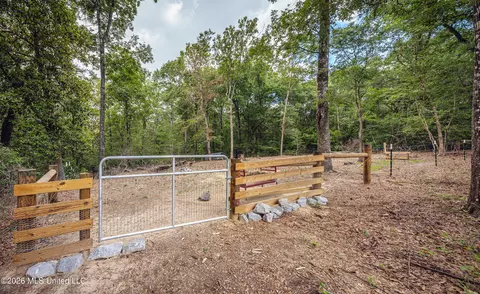 Exterior - 2000 River Bluffs Dr, Vancleave, MS 39565 photo 14 of 19