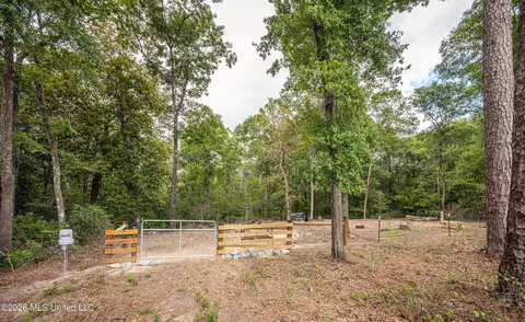 Exterior - 2000 River Bluffs Dr, Vancleave, MS 39565 photo 17 of 19