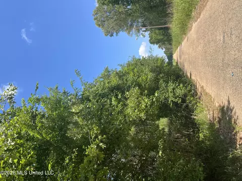 College Hill Drive, Jackson, MS 39209 photo 6