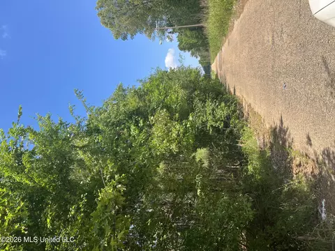 College Hill Drive, Jackson, MS 39209 photo 12