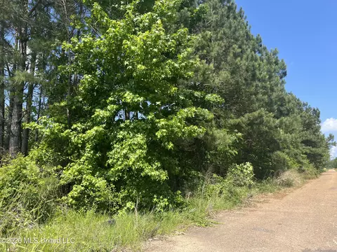 College Hill Drive, Jackson, MS 39209 photo 4