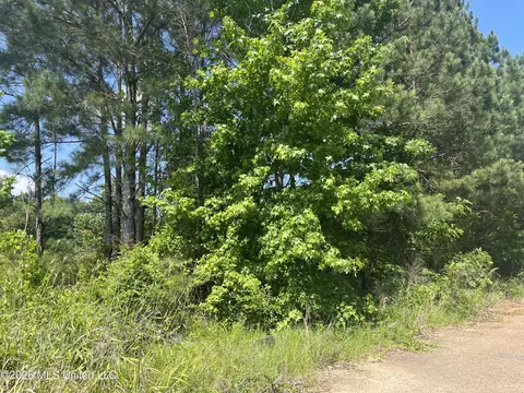 College Hill Drive, Jackson, MS 39209 photo 3