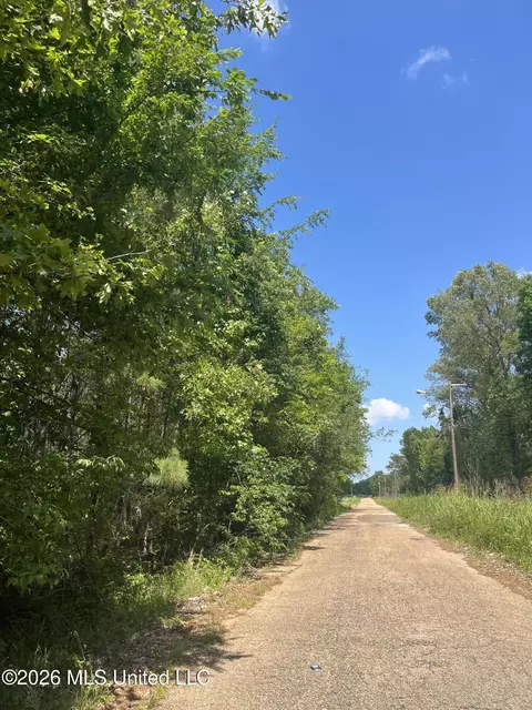College Hill Drive, Jackson, MS 39209 photo 11