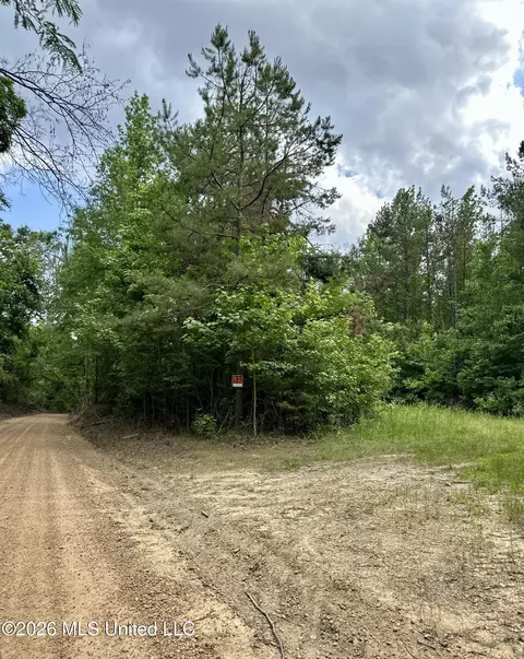 Owens Cut-off Road, Durant, MS 39063 photo 5