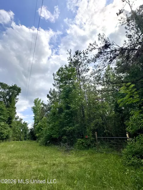Owens Cut-off Road, Durant, MS 39063 photo 3