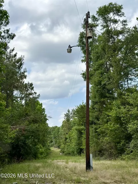 Owens Cut-off Road, Durant, MS 39063 photo 2